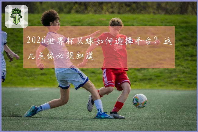 2026世界杯买球如何选择平台？这几点你必须知道