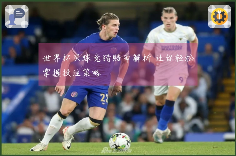 世界杯买球竞猜赔率解析 让你轻松掌握投注策略