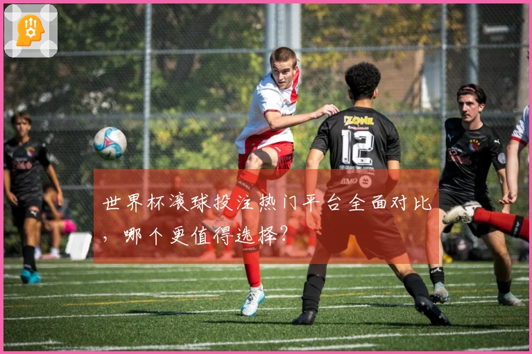 世界杯滚球投注热门平台全面对比，哪个更值得选择？