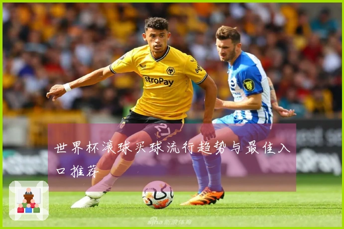 世界杯滚球买球流行趋势与最佳入口推荐