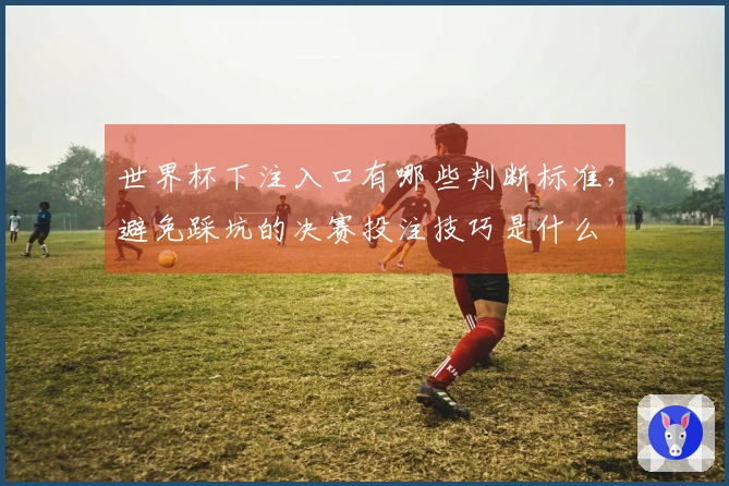世界杯下注入口有哪些判断标准，避免踩坑的决赛投注技巧是什么
