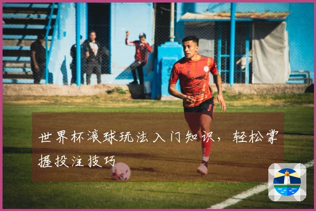 世界杯滚球玩法入门知识,轻松掌握投注技巧