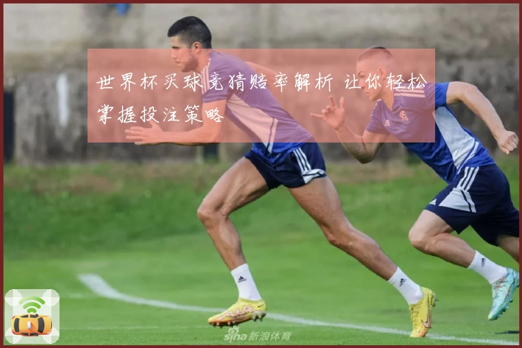 世界杯买球竞猜赔率解析 让你轻松掌握投注策略