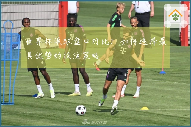 世界杯滚球盘口对比：如何选择最具优势的投注策略