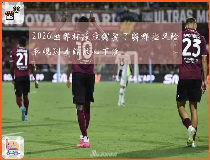 2026世界杯投注需要了解哪些风险和规则才能放心下注