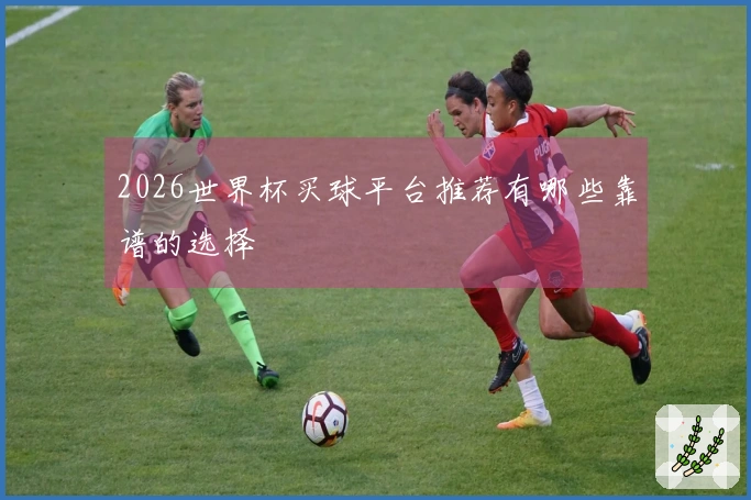 2026世界杯买球平台推荐有哪些靠谱的选择